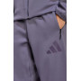 Спортивні штани чоловічі Adidas M Z.N.E. PT