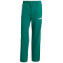 Штани чоловічі Adidas TRACK PANT