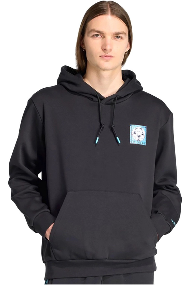 Худі чоловіче Adidas GRAPHIC HOODIE