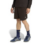 Шорти чоловічі Adidas ESS W SHO