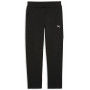 Спортивні штани чоловічі EVOSTRIPE Pants